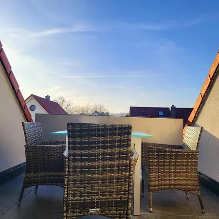 Erdmaennchen * Erfurt